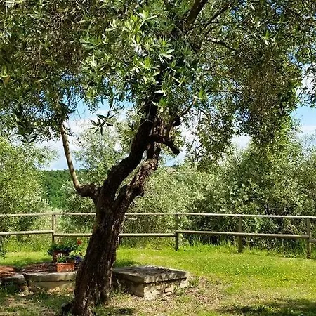 Madonna Della Sanita Sleeps 2 Pool Wifi *